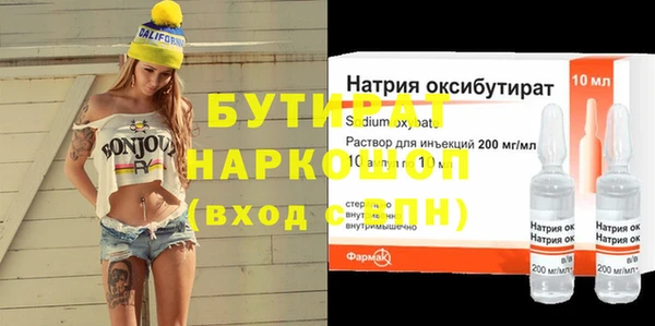 индика Алексин