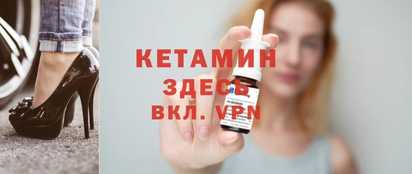 индика Алексин