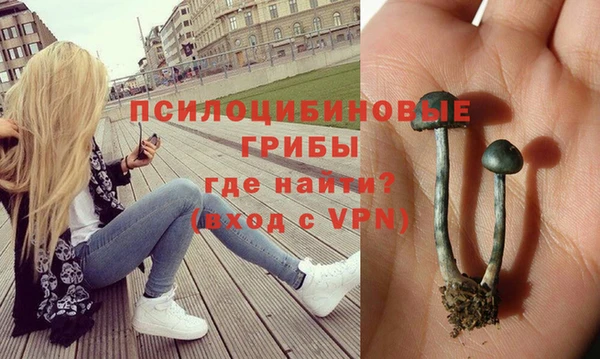 не бодяженный Алзамай