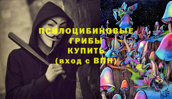 не бодяженный Алзамай